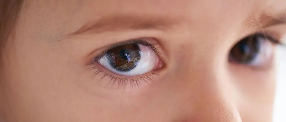 Diritti civili e maternità surrogata, i bambini dimenticati dai temi etici