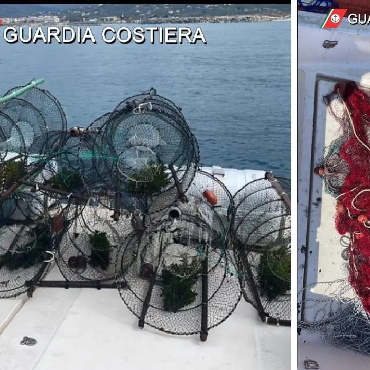 Pesca illegale, a Vibo controlli a tappeto della Guardia costiera: sequestri e sanzioni per 6mila euro