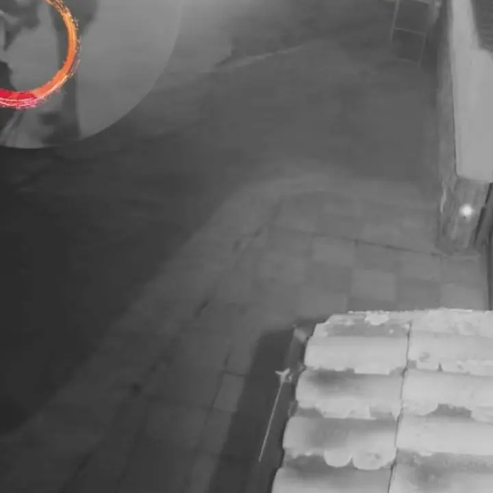 Tentato omicidio nel Vibonese, il presunto autore è il figlio del boss Mancuso di Limbadi