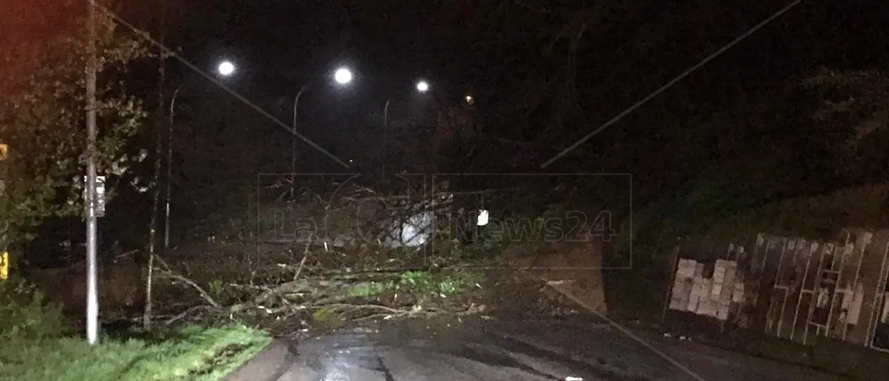 Ad Acri frana lungo la statale 660, rischio smottamenti anche a Vaccarizzo Albanese