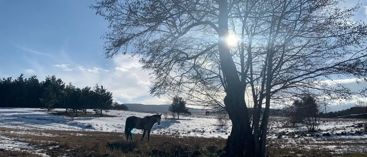 Il weekend di Pasqua apre la stagione turistica in Calabria ma la vera sfida è destagionalizzare