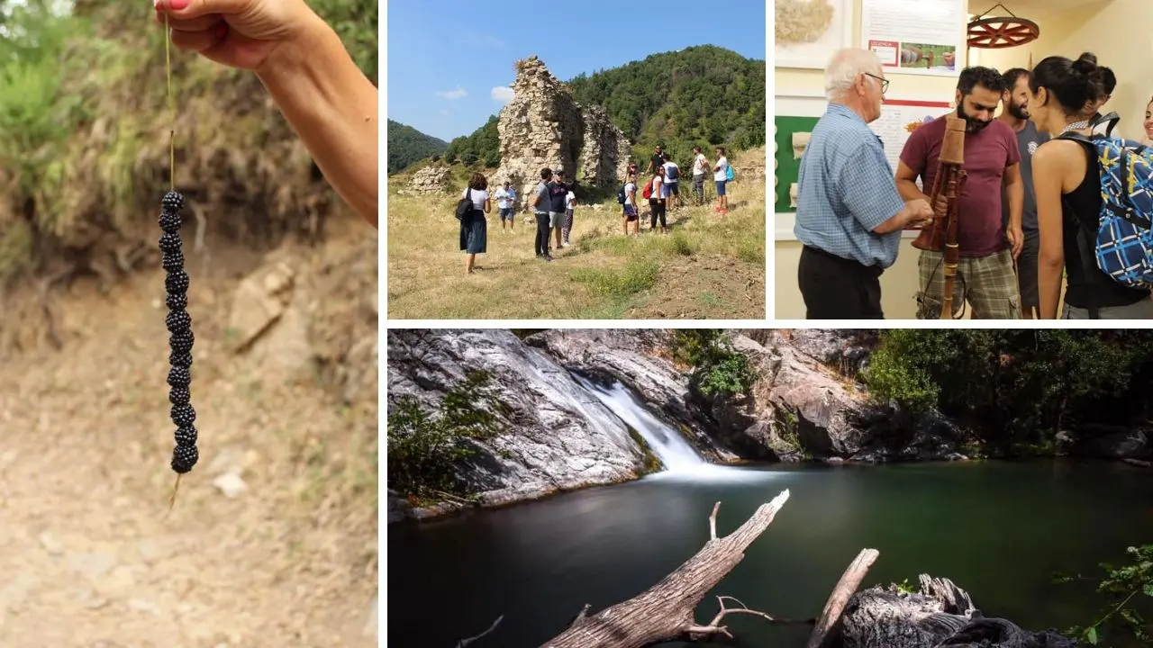 A Mesoraca nasce la Riserva del Vergari: paradiso fluviale ricco di biodiversità e storia