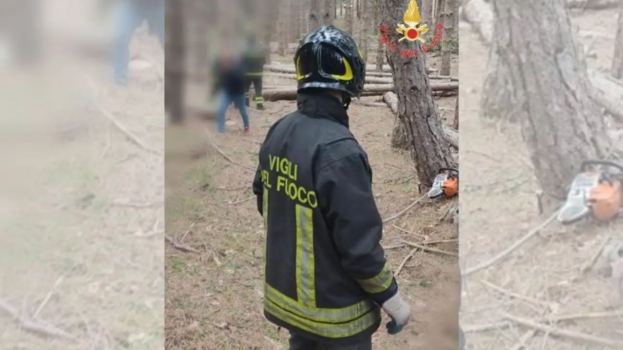 Tragedia nel Cosentino, boscaiolo 33enne muore travolto da un albero che stava tagliando