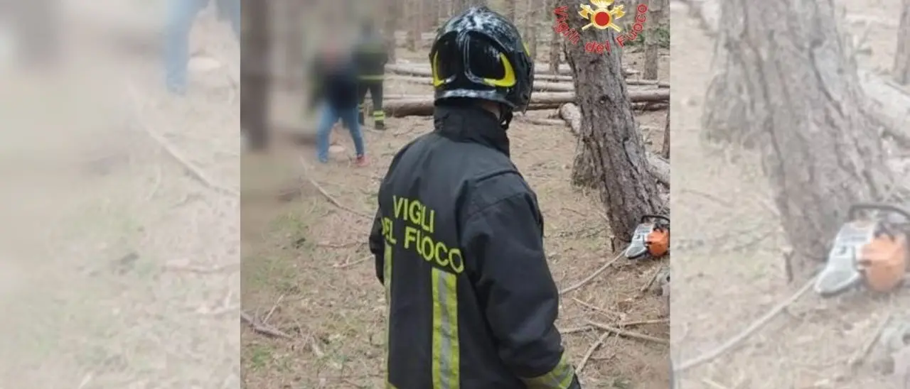 Tragedia nel Cosentino, boscaiolo 33enne muore travolto da un albero che stava tagliando