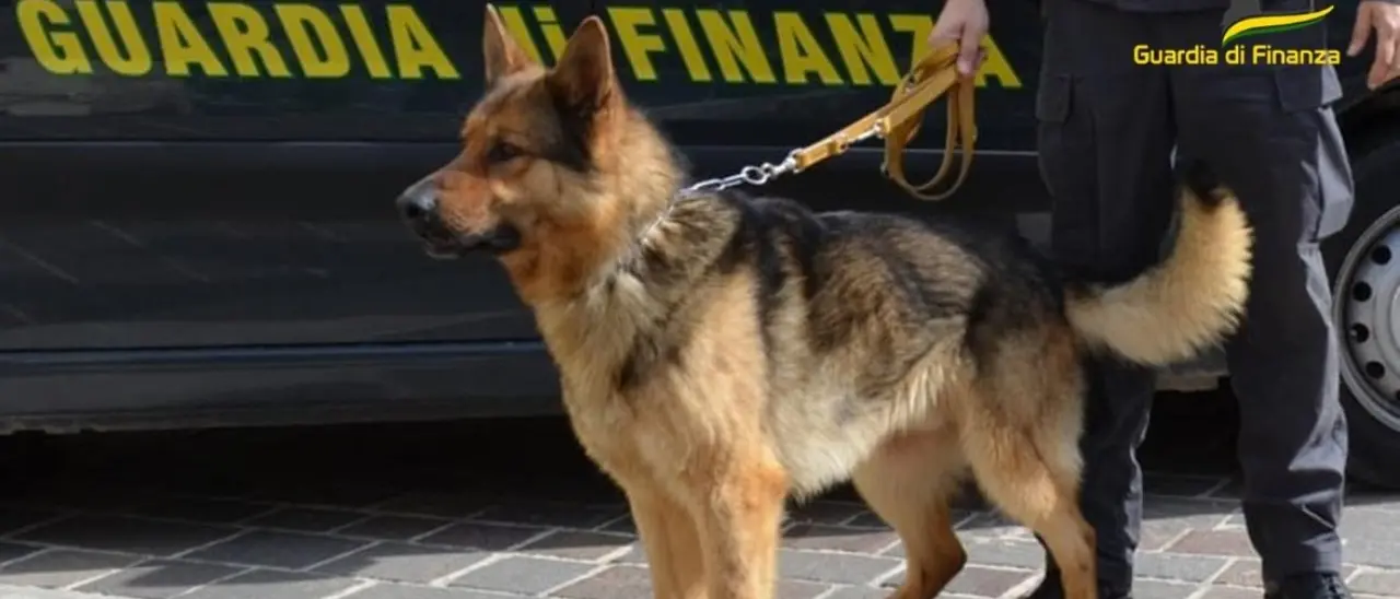 Fermato in auto con 3,2 chilogrammi di cocaina nel Palermitano: arrestato corriere della droga calabrese