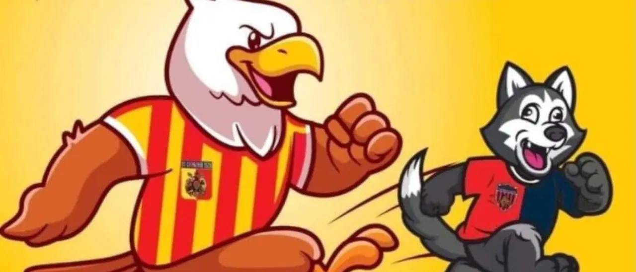 In un libro “101 motivi per odiare il CoSenz’A e tifare Catanzaro”: lo sfottò ha la copertina rigida