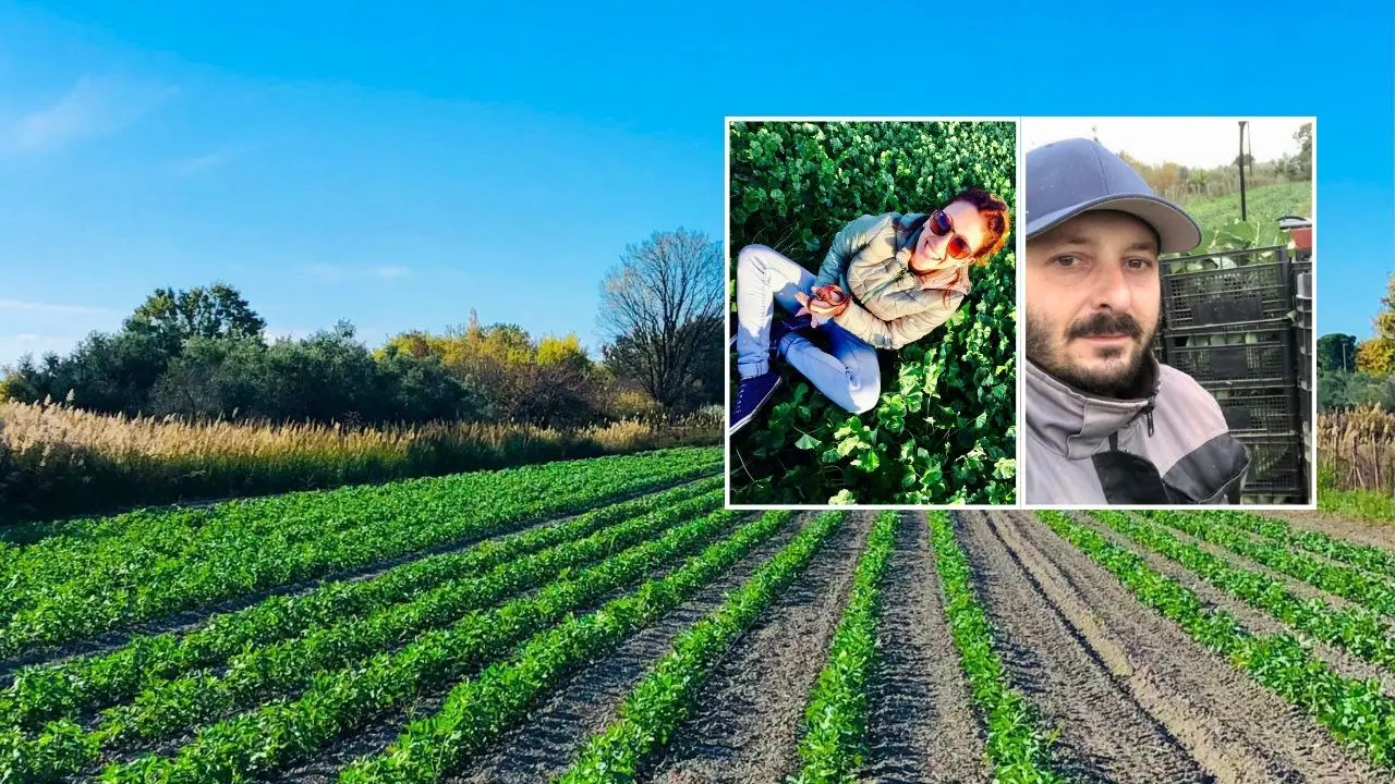 La sfida di Mariana e Luigi, lasciano un lavoro stabile per tornare in Calabria: «Coltiviamo la terra, ora siamo felici»