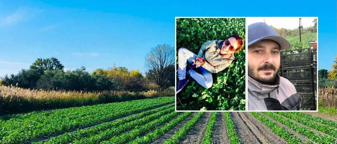 La sfida di Mariana e Luigi, lasciano un lavoro stabile per tornare in Calabria: «Coltiviamo la terra, ora siamo felici»