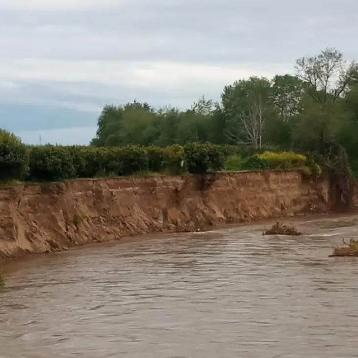 A Terranova da Sibari il fiume Crati fa paura: «Rischio esondazione, pericoli per campagne e abitazioni»