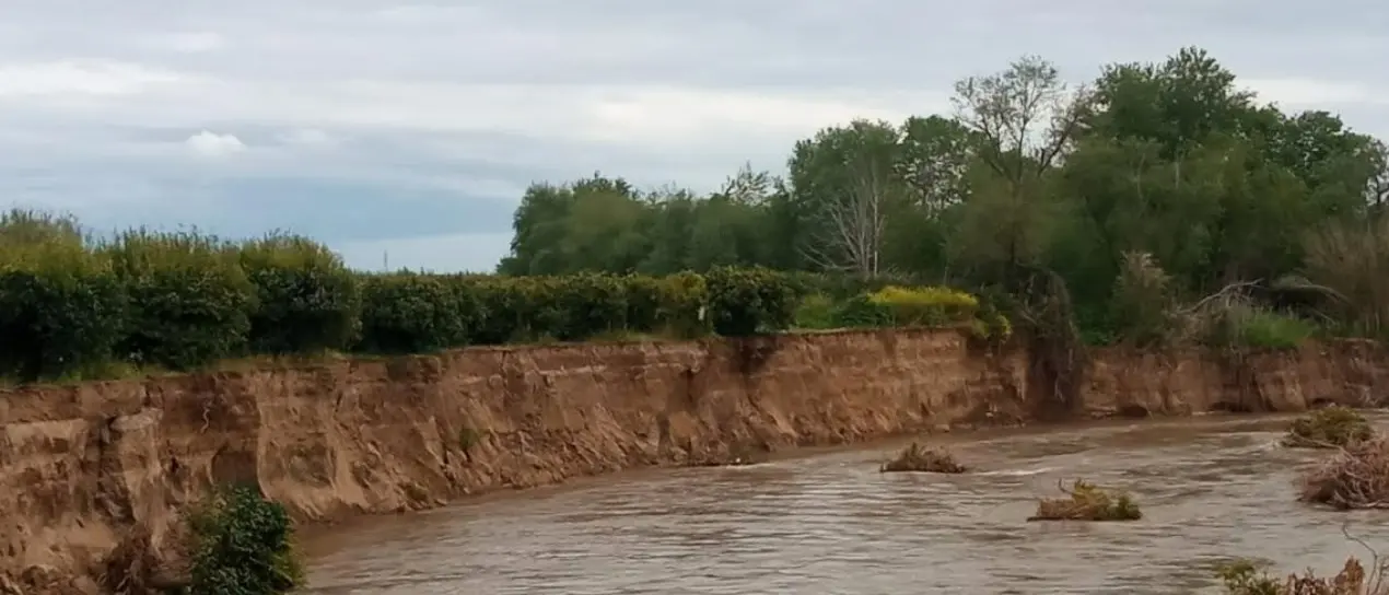 A Terranova da Sibari il fiume Crati fa paura: «Rischio esondazione, pericoli per campagne e abitazioni»