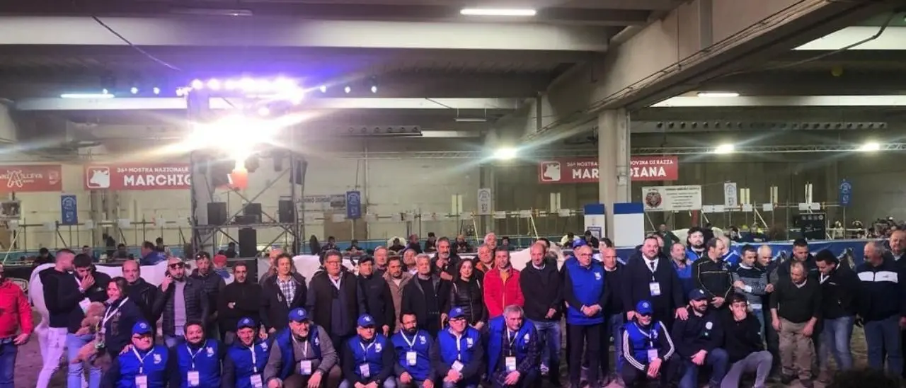 Gli allevatori calabresi di razza podolica premiati alla più grande fiera zootecnica del Sud