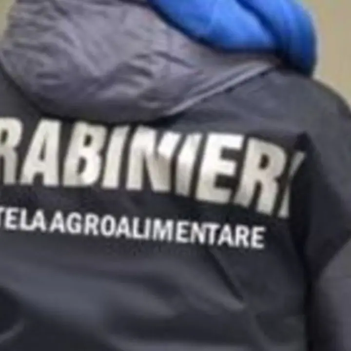 Truffa sui fondi agricoli: sequestrati beni per 332mila euro nel Crotonese