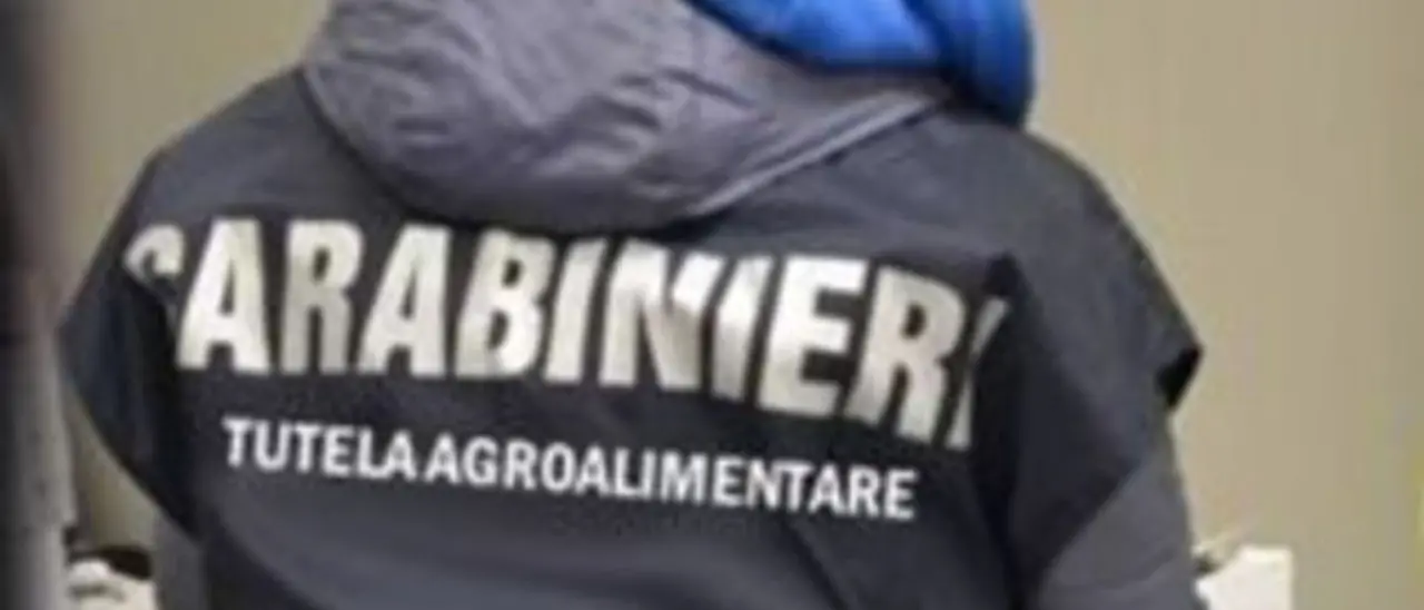 Truffa sui fondi agricoli: sequestrati beni per 332mila euro nel Crotonese