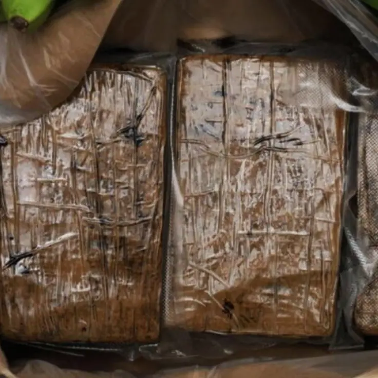 Maxi sequestro di cocaina a Venezia, 850 chili di droga nascosti in un mercantile
