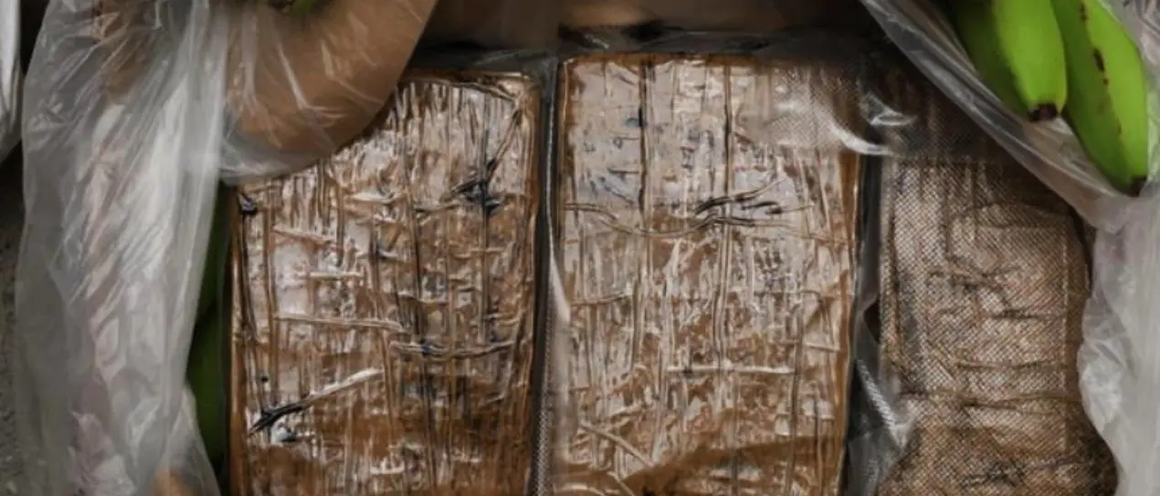 Maxi sequestro di cocaina a Venezia, 850 chili di droga nascosti in un mercantile