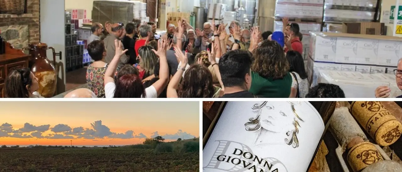 Turismo enogastronomico in Calabria, Pasquale Iuzzolini: «Serve serietà e giusta offerta tra qualità e prezzo»