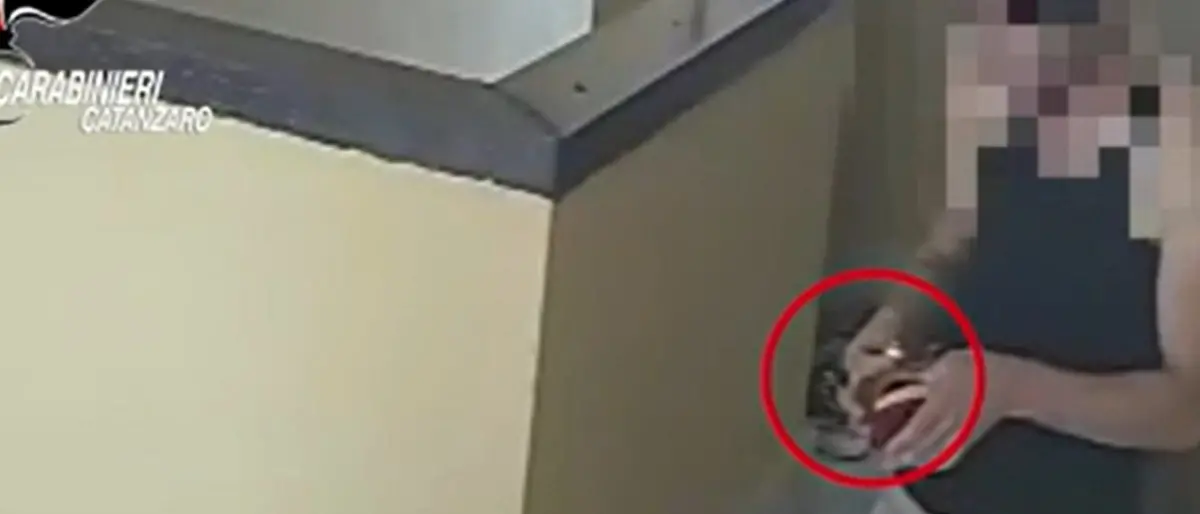 Operazione Anteo su spaccio di droga in Calabria, chiesto processo per 37 indagati -NOMI