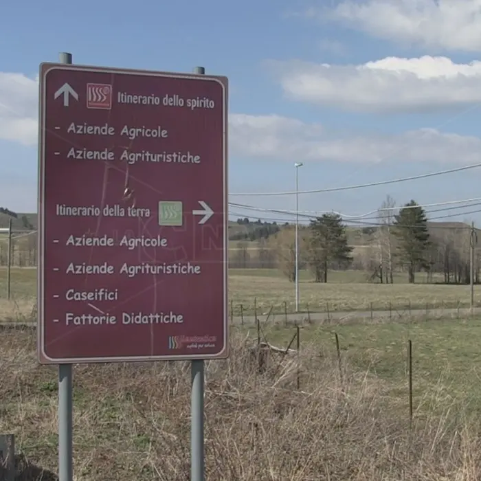 Agriturismo Calabria, Coldiretti: «Settore in crisi, servono misure di sostegno per evitare licenziamenti»