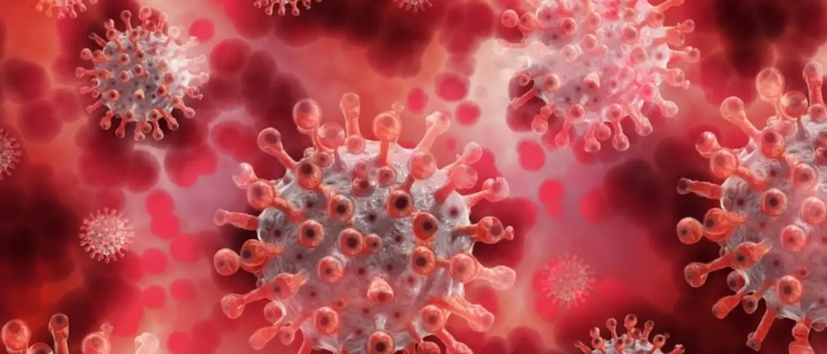 Variante Omicron, gli esperti: «Vaccini proteggono contro i casi più gravi»