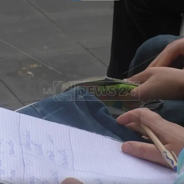 Scuola, un catanzarese rappresenterà la Calabria al campionato nazionale delle lingue di Urbino