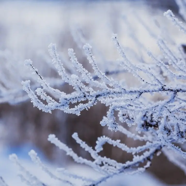 Weekend gelido su tutta Italia: in Calabria rischio di nevicate a quote collinari