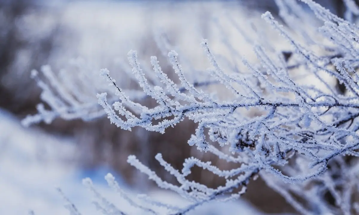 Weekend gelido su tutta Italia: in Calabria rischio di nevicate a quote collinari