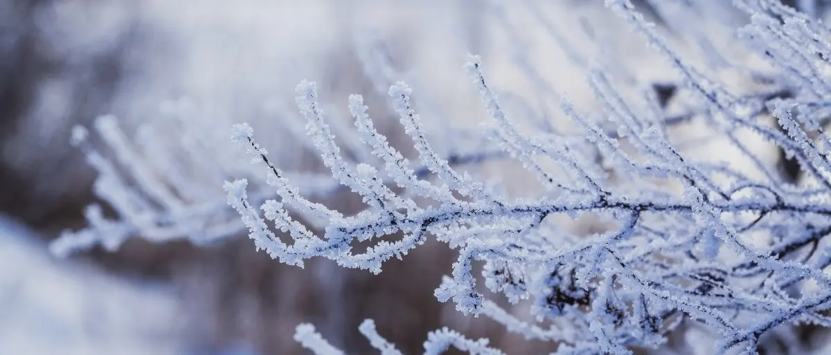Weekend gelido su tutta Italia: in Calabria rischio di nevicate a quote collinari