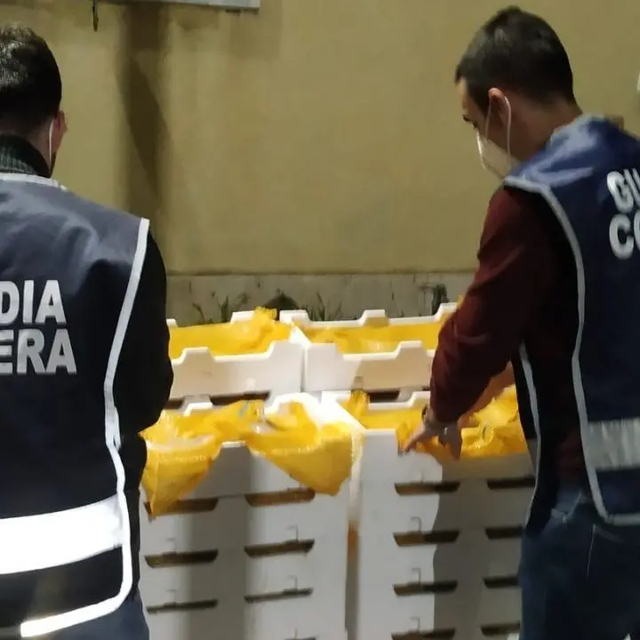 Villa San Giovanni, fermato con 450 kg di bianchetto agli imbarcaderi: sequestro e 25mila euro di multa
