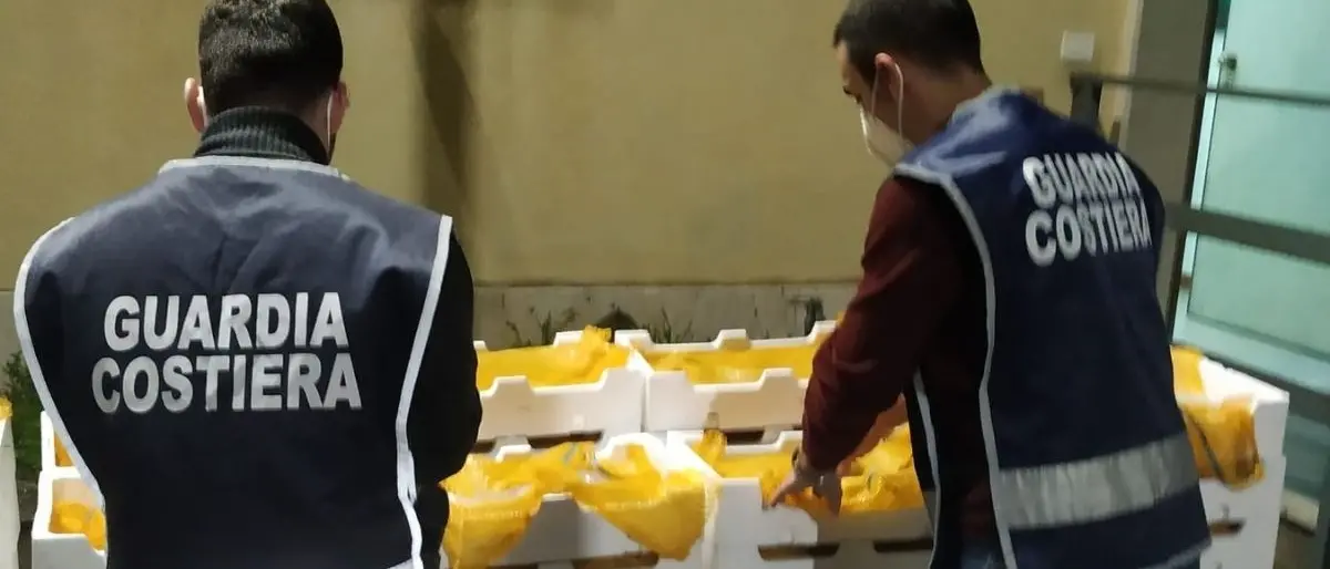 Villa San Giovanni, fermato con 450 kg di bianchetto agli imbarcaderi: sequestro e 25mila euro di multa