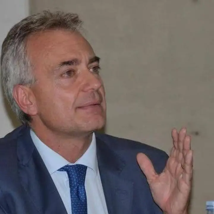 Emergenza processionaria in Calabria, l’assessore Gallo: «Pronti 4 milioni di euro per interventi»