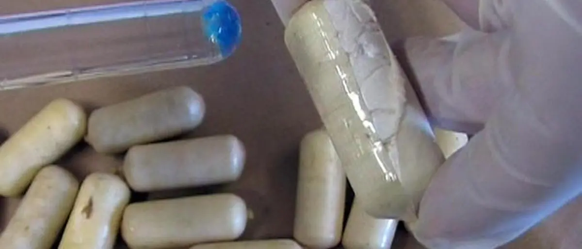 Narcotrafficanti albanesi si rifornivano in Calabria, smantellata organizzazione in Abruzzo