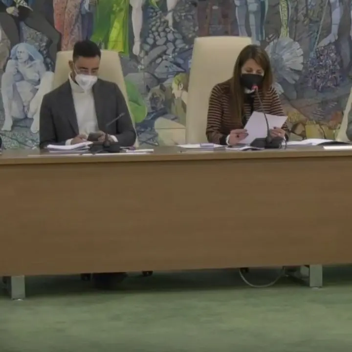 Sesta Commissione, occhi puntati sulla processionaria: l’insetto che ammazza la pinete