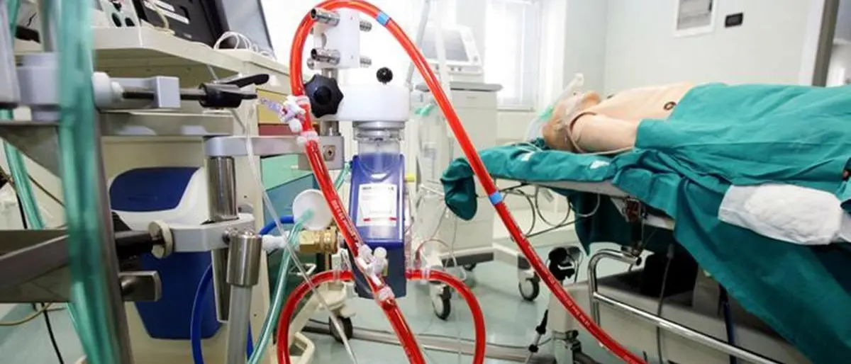 Bimba morta per Covid: «A Catanzaro subito intubata, ma solo a Roma si poteva tentare di salvarla»