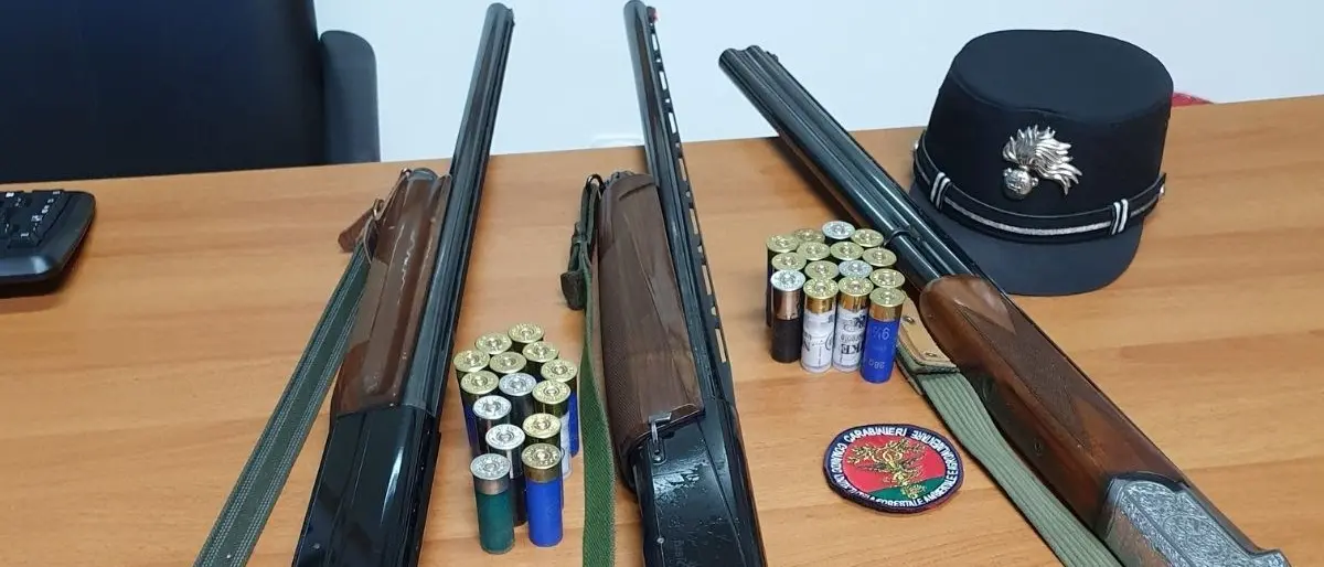 Abbattono 20 fringuelli nel Vibonese: denunciati e sanzionati 3 cacciatori