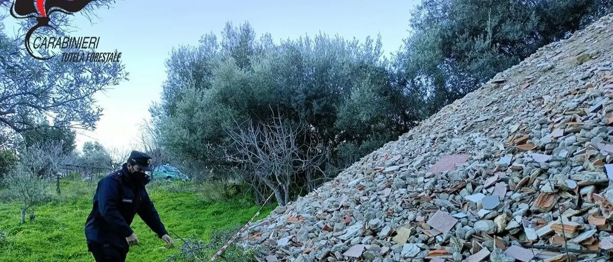 Sequestrate 40 tonnellate di rifiuti speciali scaricate illegalmente in un uliveto: una denuncia nel Cosentino
