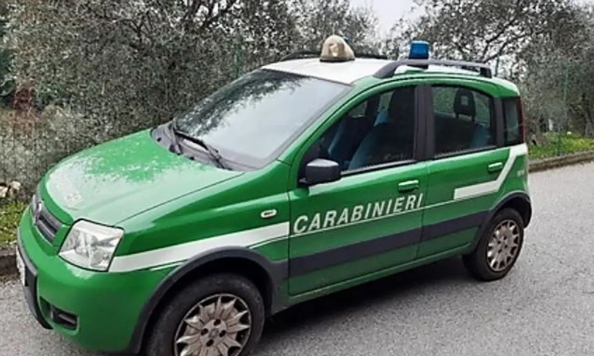 Impianto per lavorazione inerti e una cava sequestrati nel Catanzarese: erano abusivi