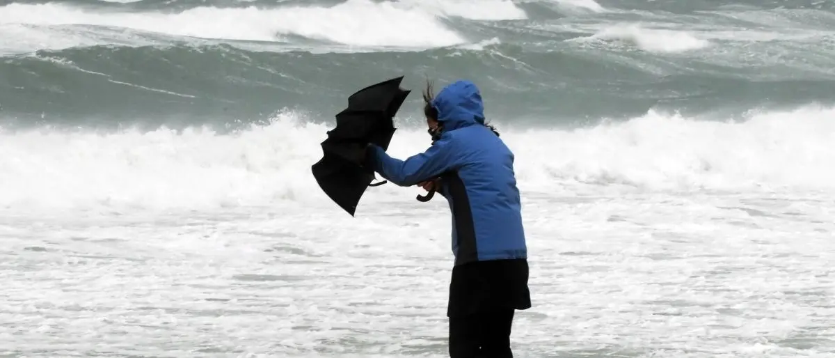 Nel Catanzarese forti raffiche di vento: alberi divelti e difficoltà alla circolazione stradale