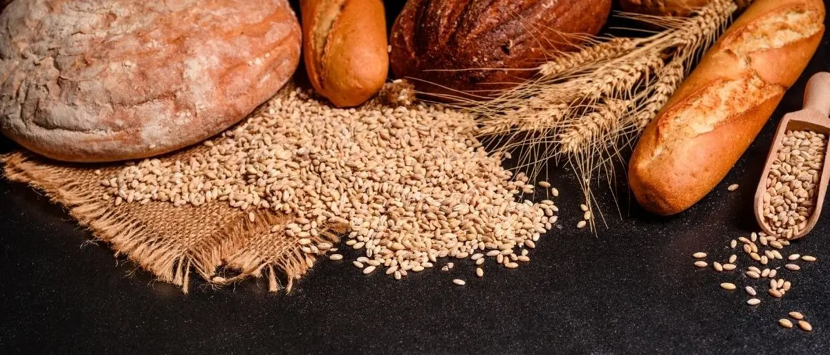 L’allarme dei panificatori: «Entro 50 giorni l’Italia rischia di rimanere senza grano»