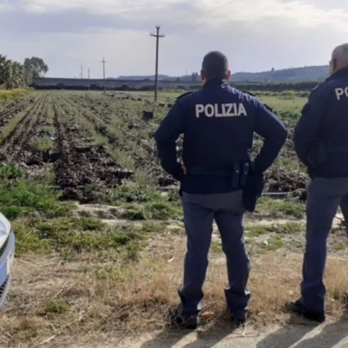 Braccianti agricoli multati nelle campagne del Crotonese perché sprovvisti di green pass