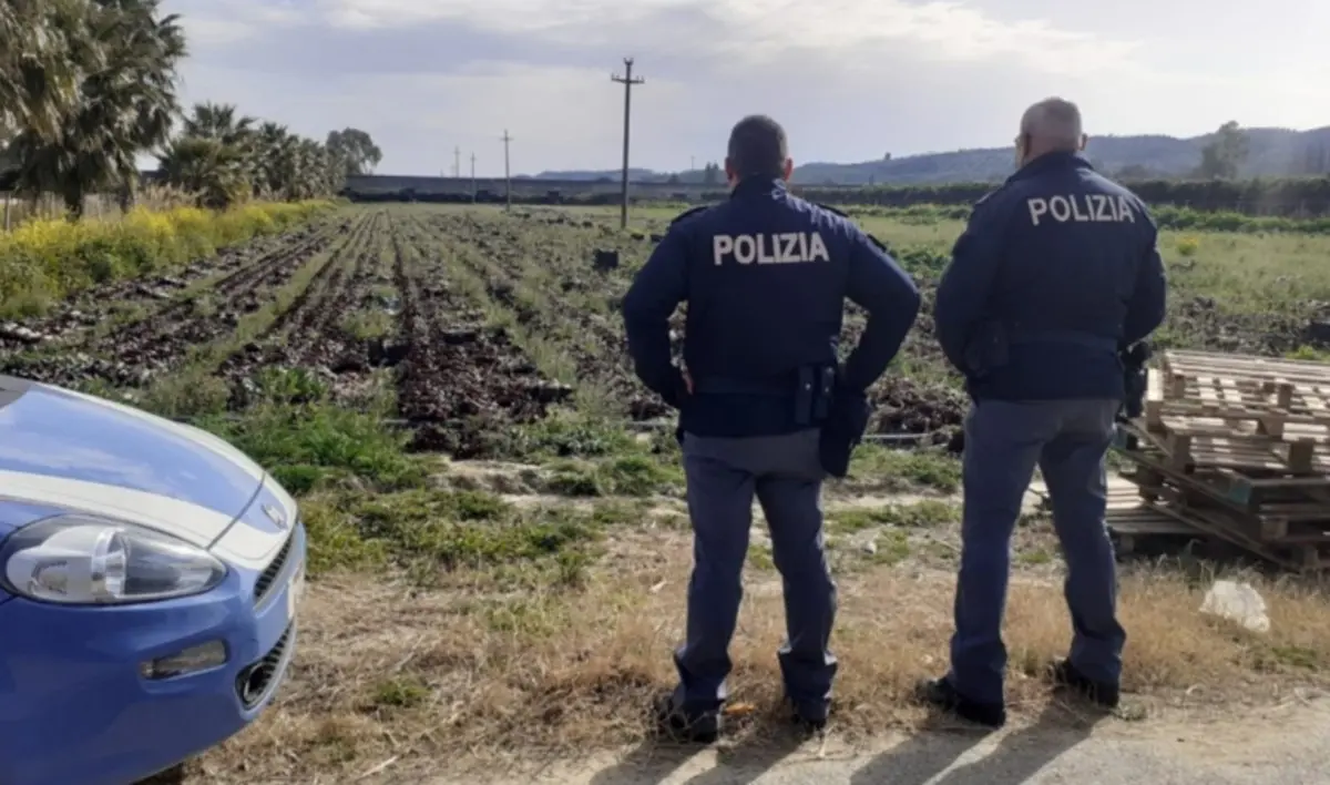 Braccianti agricoli multati nelle campagne del Crotonese perché sprovvisti di green pass