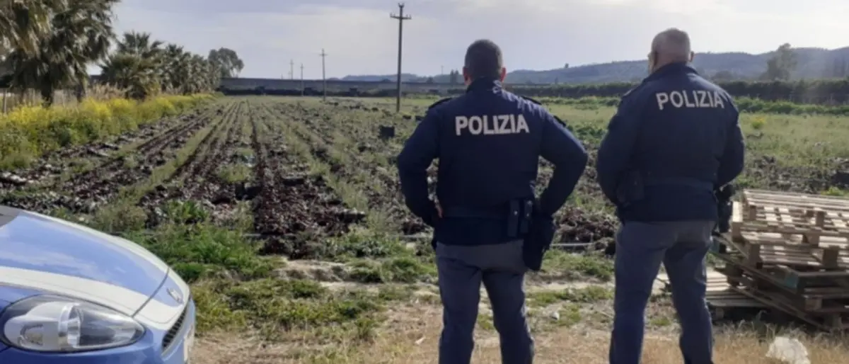 Braccianti agricoli multati nelle campagne del Crotonese perché sprovvisti di green pass