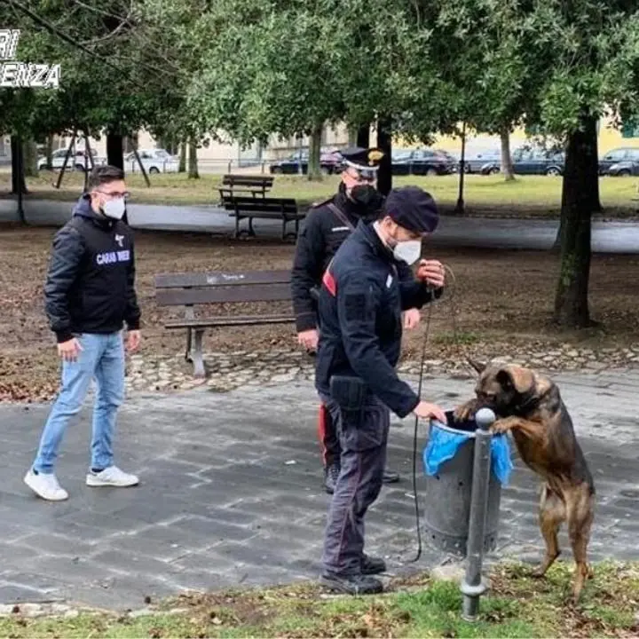 Acri, campagna antidroga dei carabinieri: controlli nelle scuole e nei parchi