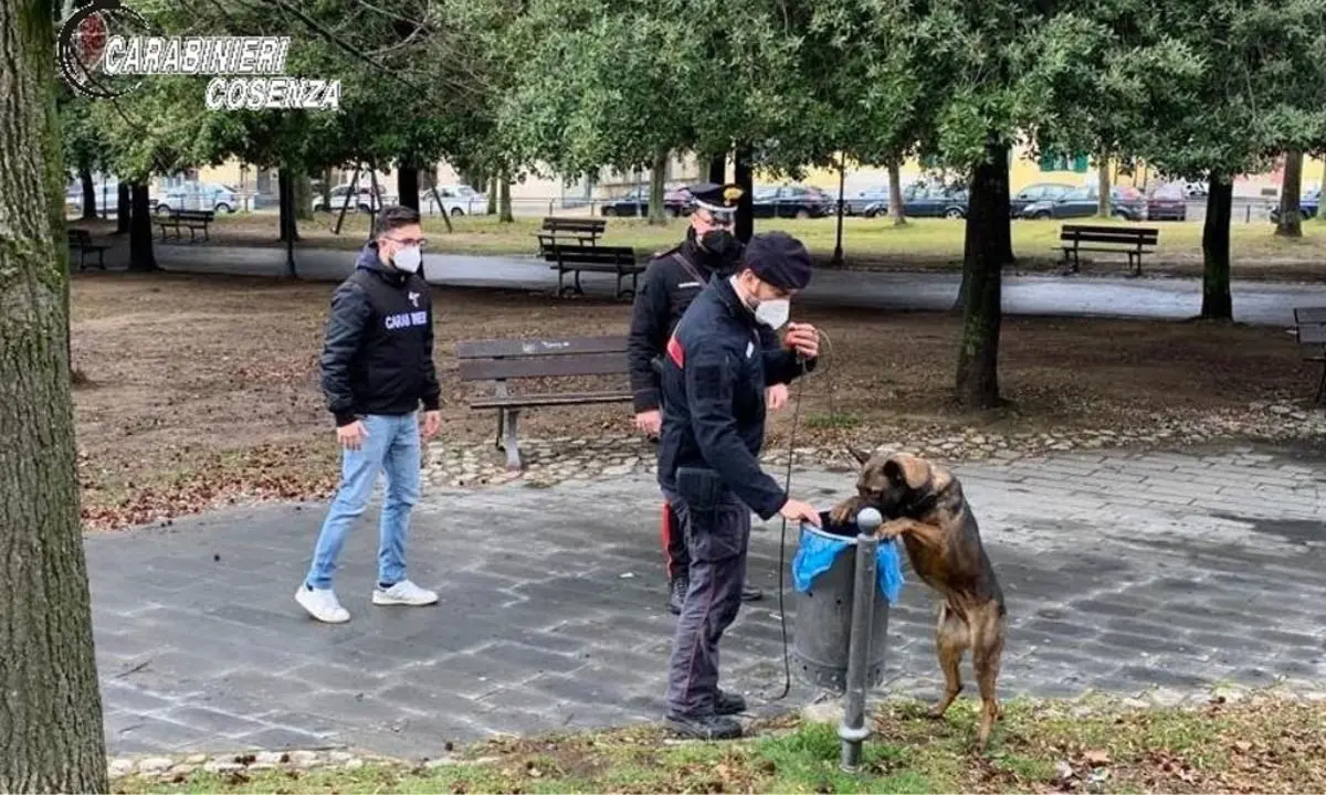 Acri, campagna antidroga dei carabinieri: controlli nelle scuole e nei parchi