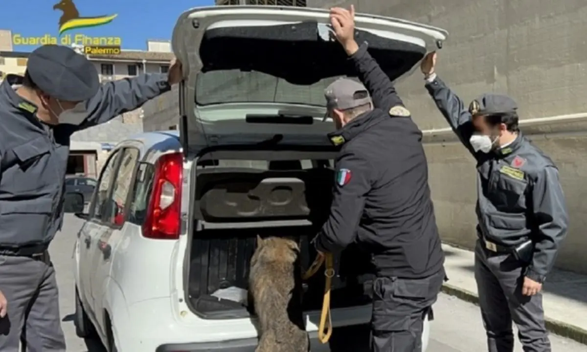 In auto con quasi 6 kg di droga, arrestati in Sicilia due giovani reggini