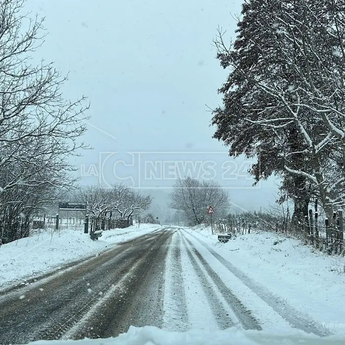 Maltempo in Calabria, nevicate in Sila anche a bassa quota: impianti sciistici aperti a Lorica e Camigliatello