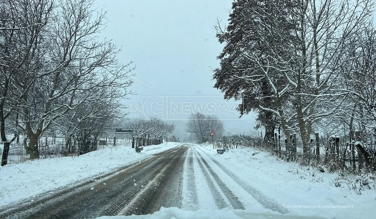 Maltempo in Calabria, nevicate in Sila anche a bassa quota: impianti sciistici aperti a Lorica e Camigliatello