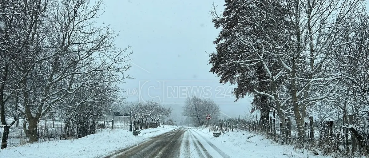 Maltempo in Calabria, nevicate in Sila anche a bassa quota: impianti sciistici aperti a Lorica e Camigliatello