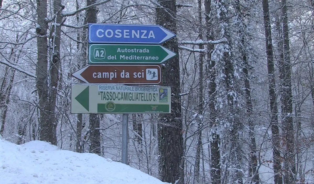 Maltempo Calabria, neve nel Catanzarese e nel Cosentino anche a bassa quota: chiuse alcune scuole