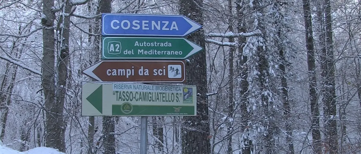 Maltempo Calabria, neve nel Catanzarese e nel Cosentino anche a bassa quota: chiuse alcune scuole
