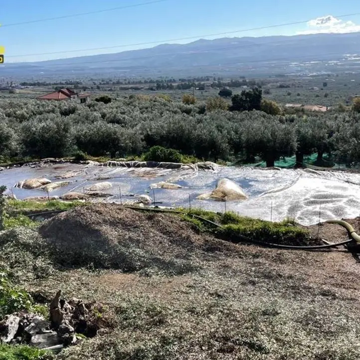 Reflui nei terreni agricoli, sequestrato uno stabilimento di produzione e vendita di olio